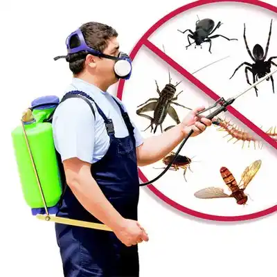 pest control Kirkersville